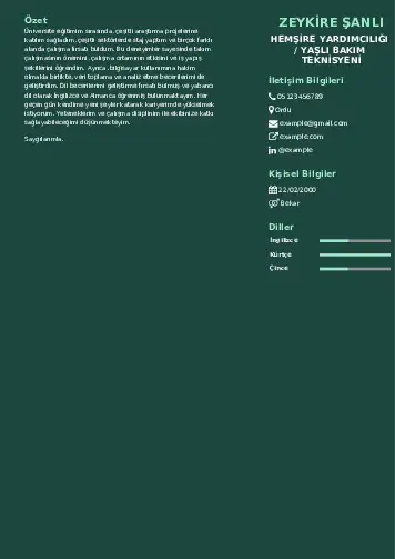 Hasta ve Yaşlı Bakım Elemanı Cv Örnekleri cv indir